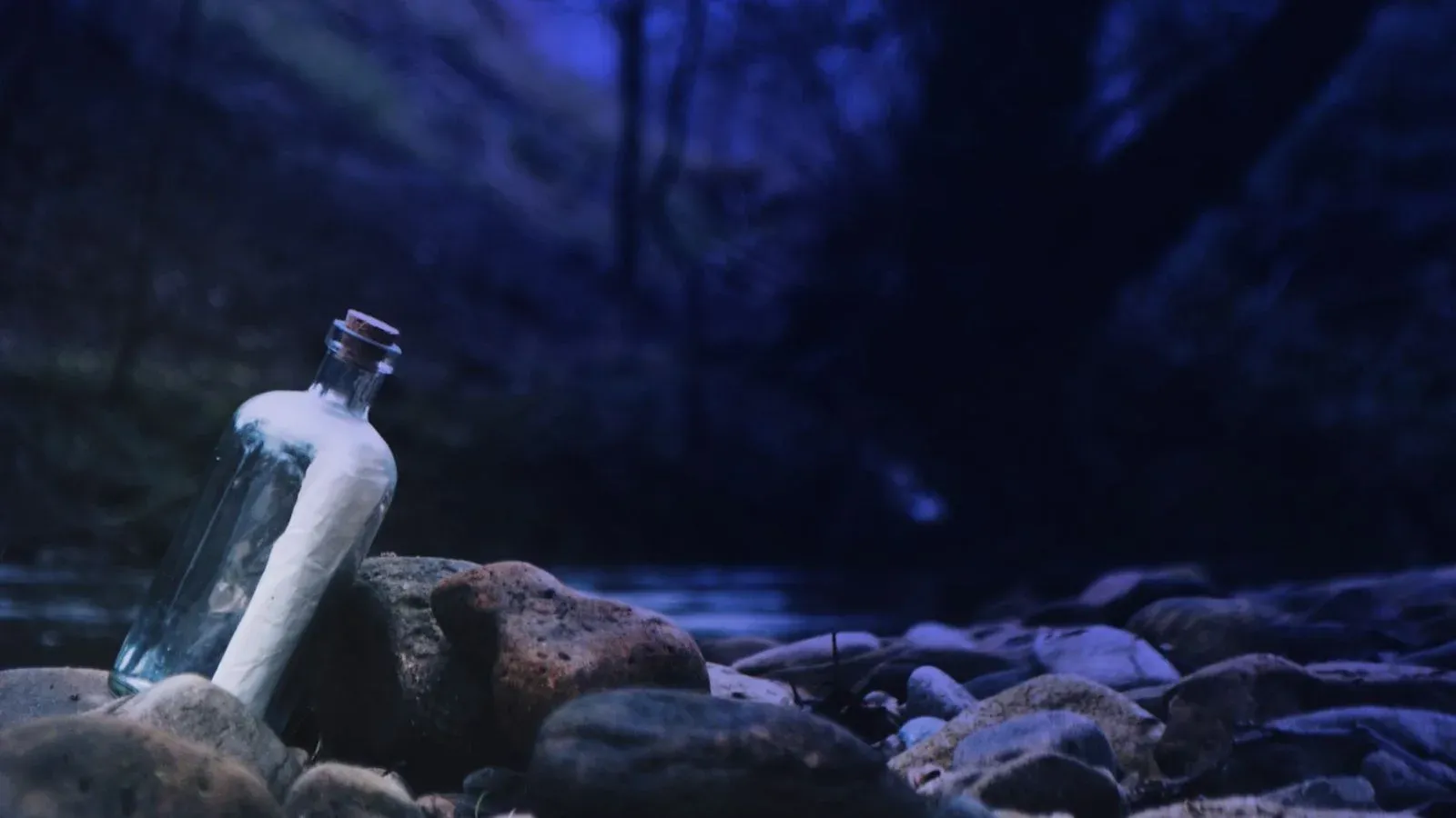 A message in a bottle resting on stones by a lake at dusk.