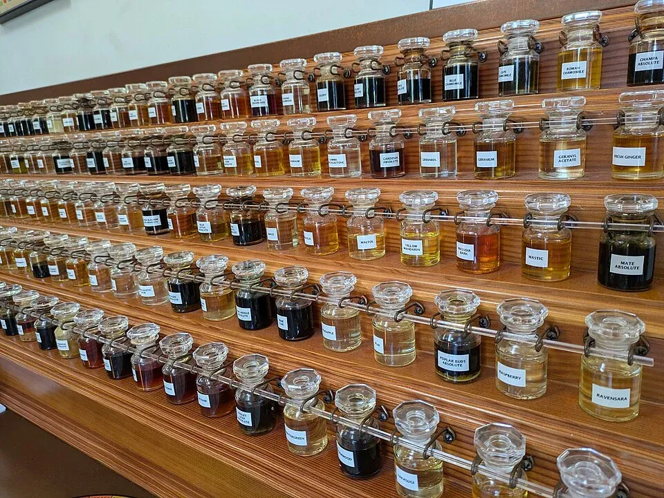 Rows of labelled glass bottles of perfume essences on wooden shelves.