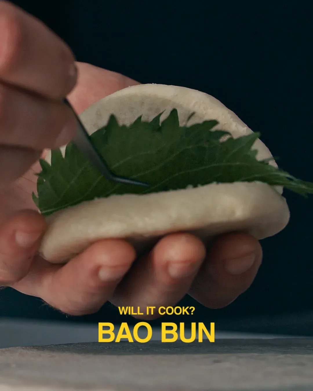 Kädet asettavat lehden bao-sämpylään, otsikkona Will it cook? Bao bun.