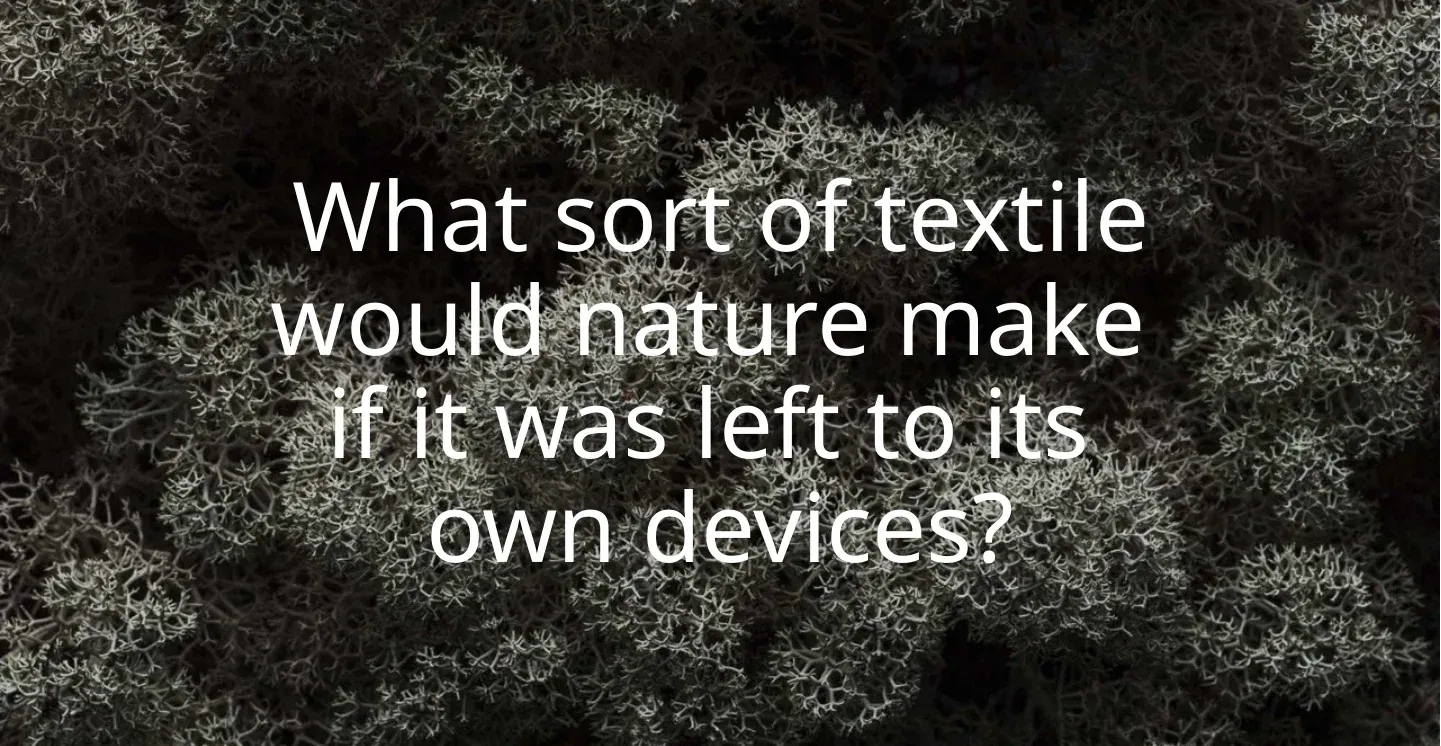 Slide over a dark close-up of lichen: What sort of textile would nature make if it was left to its own devices?